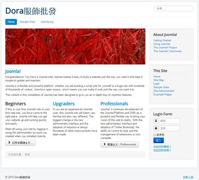 protostar default layout 1